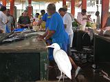 SEYCHELLES - 591 - Victoria, Sir Selwyn Selwyn-Clarke Market